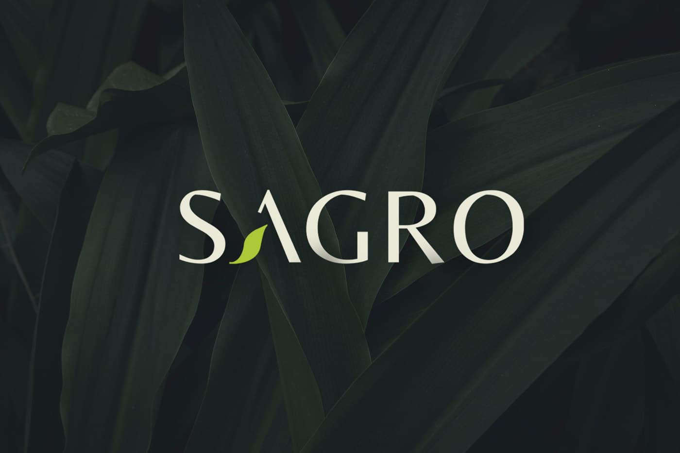 sagro work images.